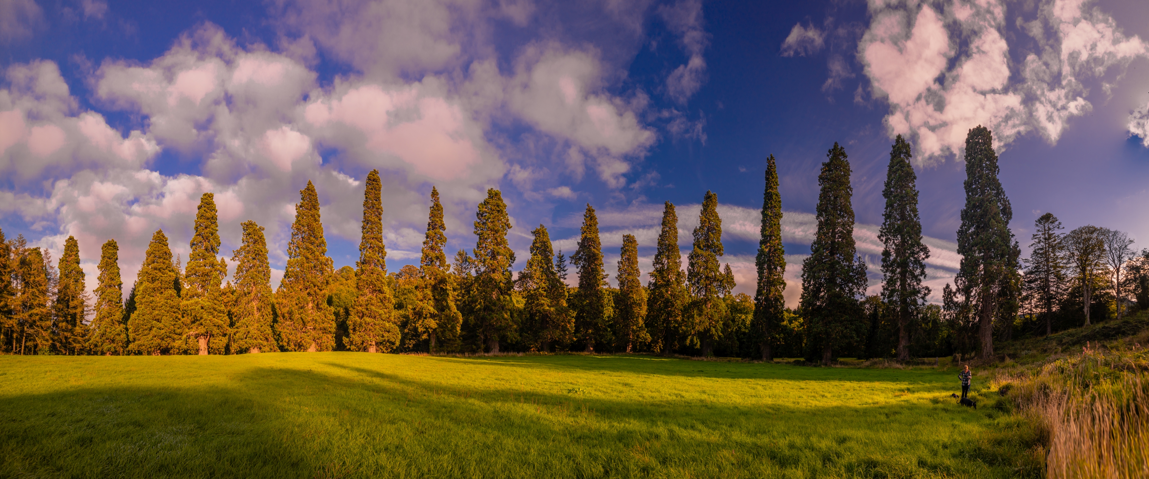 169760656.OBB8nLPQ.IMG_3097Pano4K.jpg