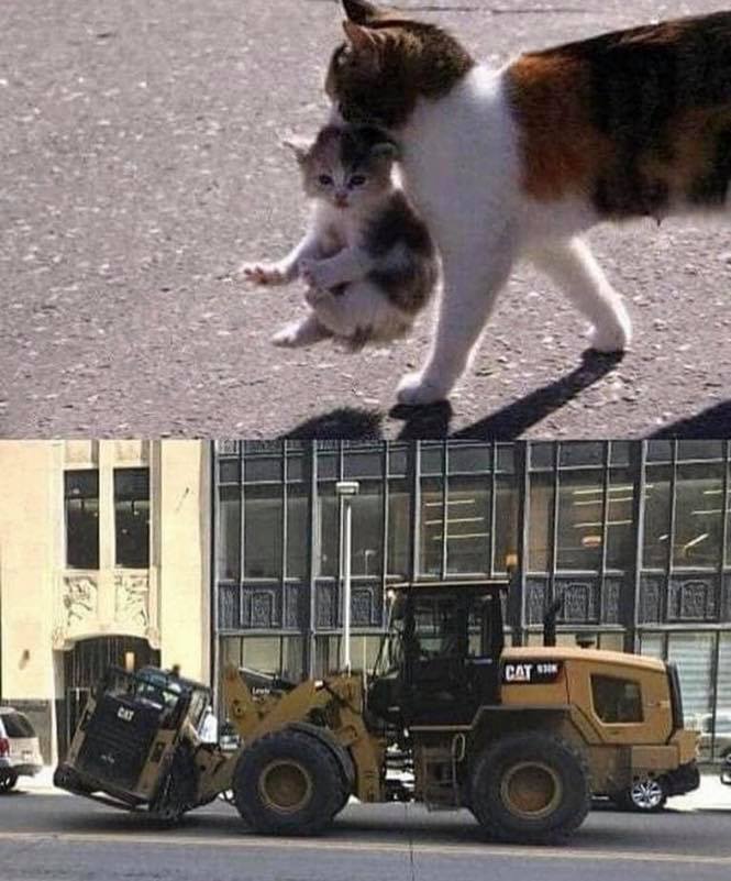 86351680.jpg
