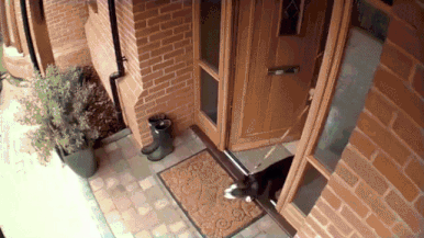 85814107.gif