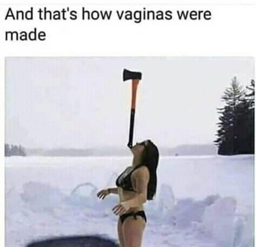 86039445.jpg