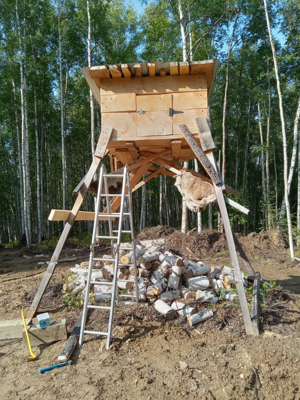20230823-132455.jpg