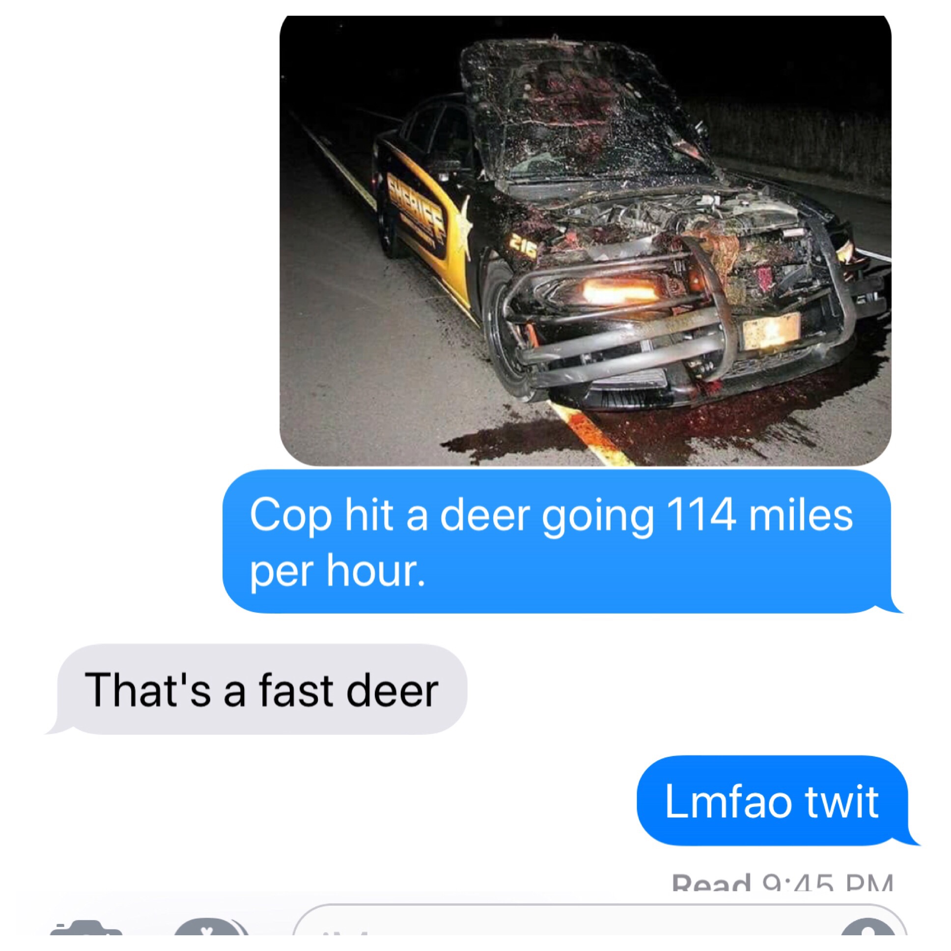 86032939.jpg