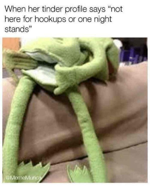 86045291.jpg