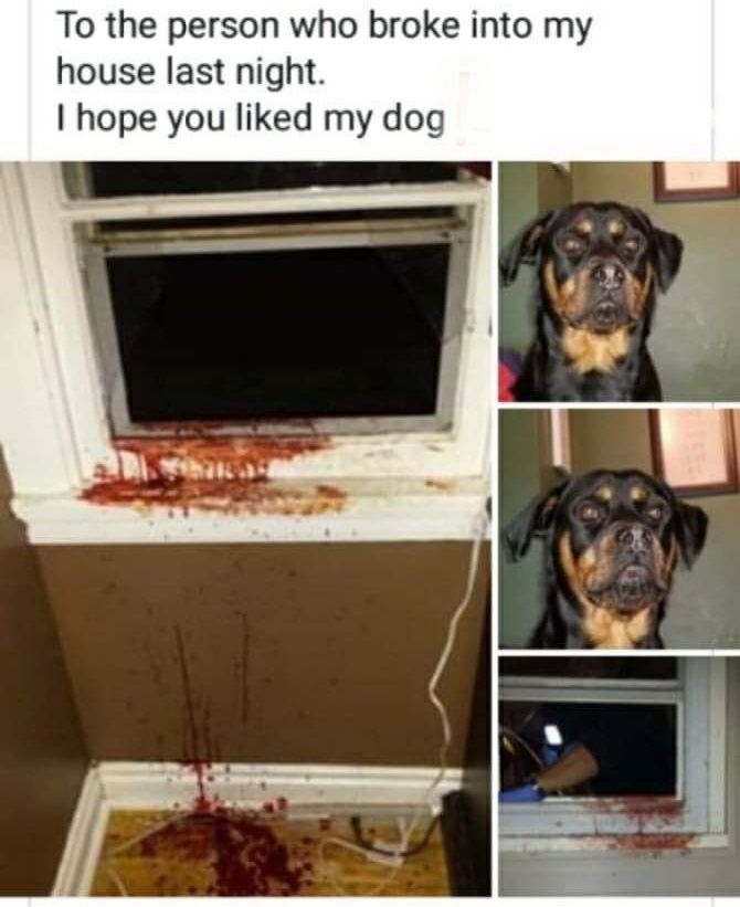 86376651.jpg