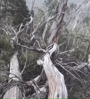 85916199.gif