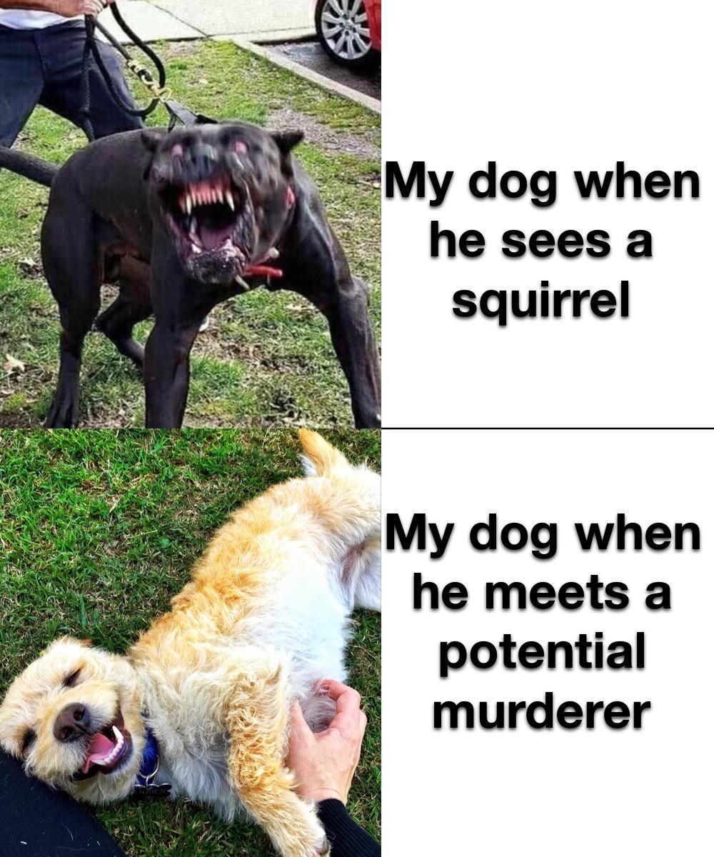 86289318.jpg