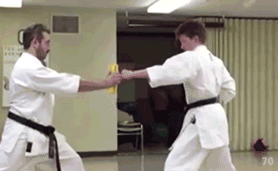 85884811.gif