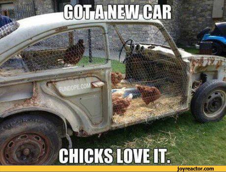 chicks-new-car-sandbox-760267.jpeg