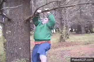 xxOksn.gif
