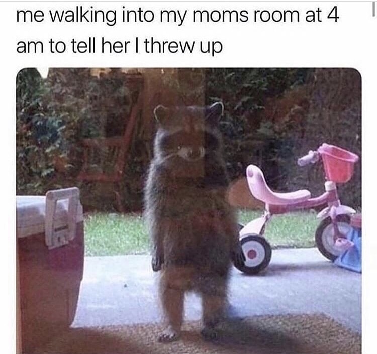 85835456.jpg