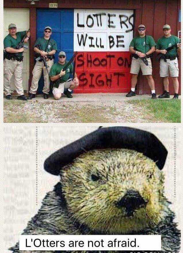 86289324.jpg
