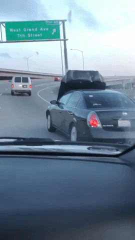 86046400.gif