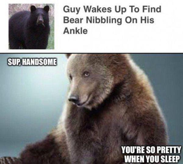85798369.jpg