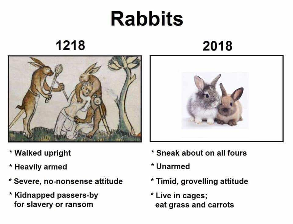 85883242.png