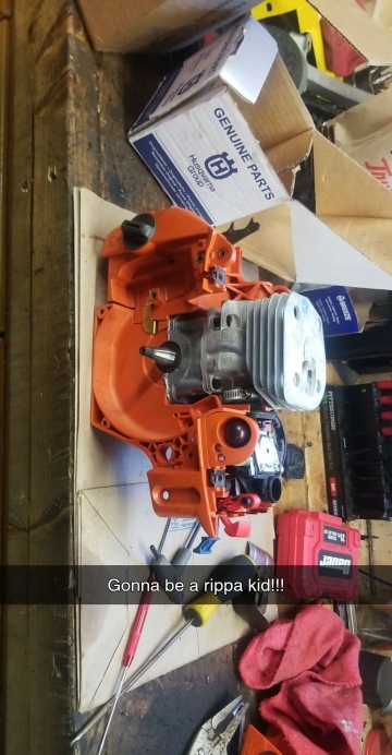 330ec31516d8689fb537d665ee585974.jpg