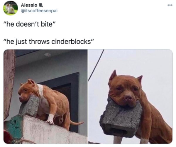 86534367.jpg