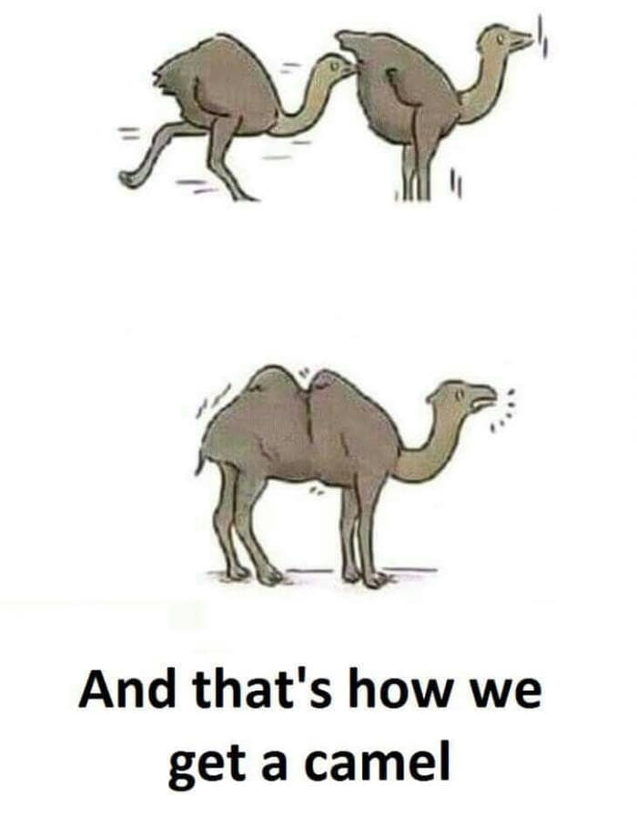 86052353.jpg