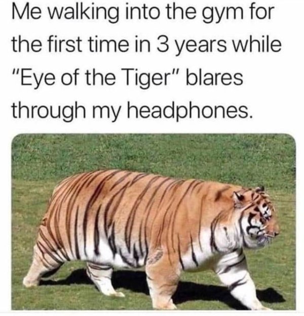 85880441.jpg