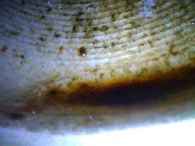 36164182ee6194ccd5b7cd3040788bff.jpg