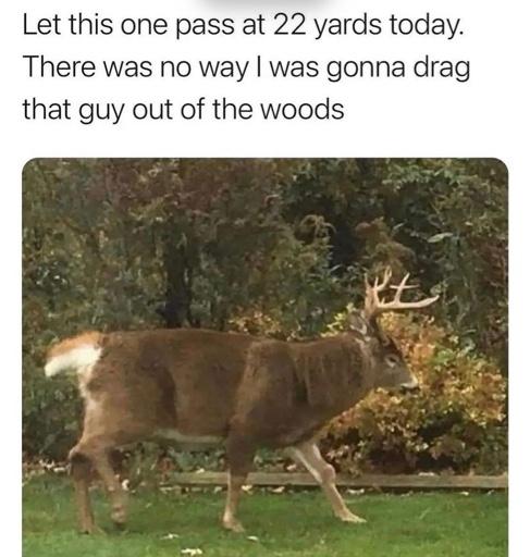 a8afadb88228952764b4603d668d9416.jpeg