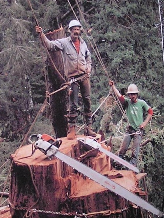 Jerry-on-the-stump-2-saws.jpg