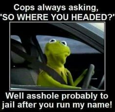 44bd3ae38f2546672c7d1aa6a2757f6a--cops-humor-humour.jpg