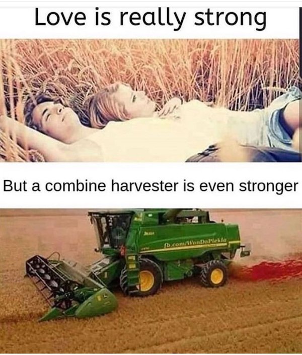 85938402.jpg
