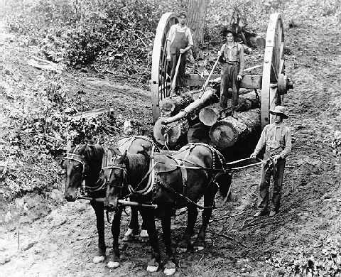hauling.gif