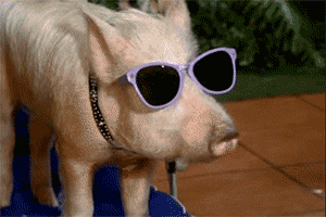 wnztq-1505498490-9724-list_items-bboys_greenacres.gif