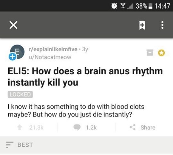 85861782.jpg
