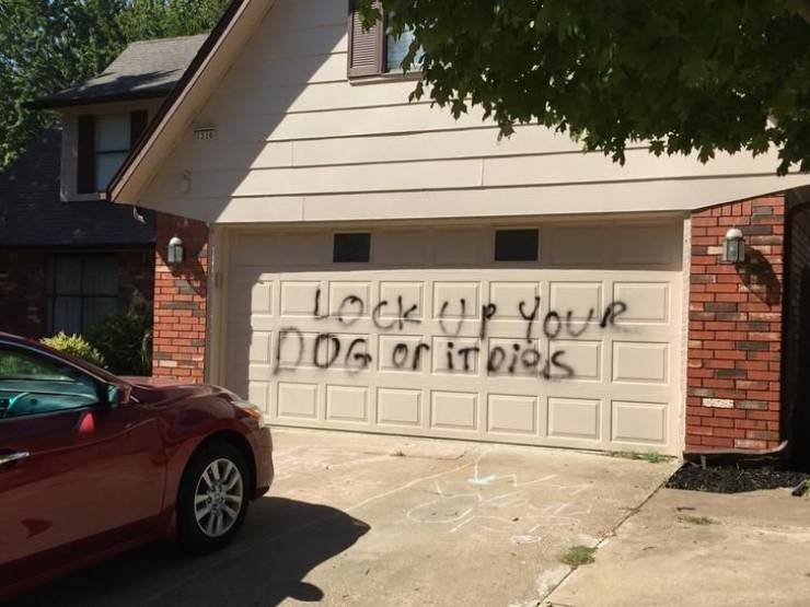 86421619.jpg