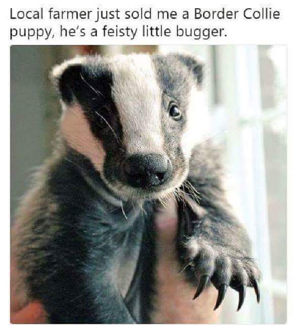 85792649.jpg