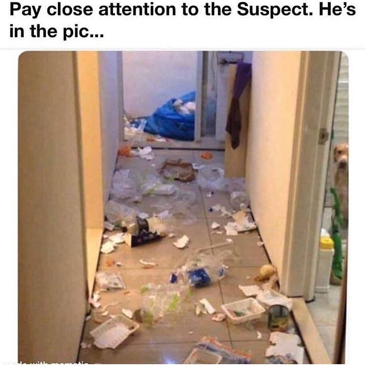 86141768.jpg