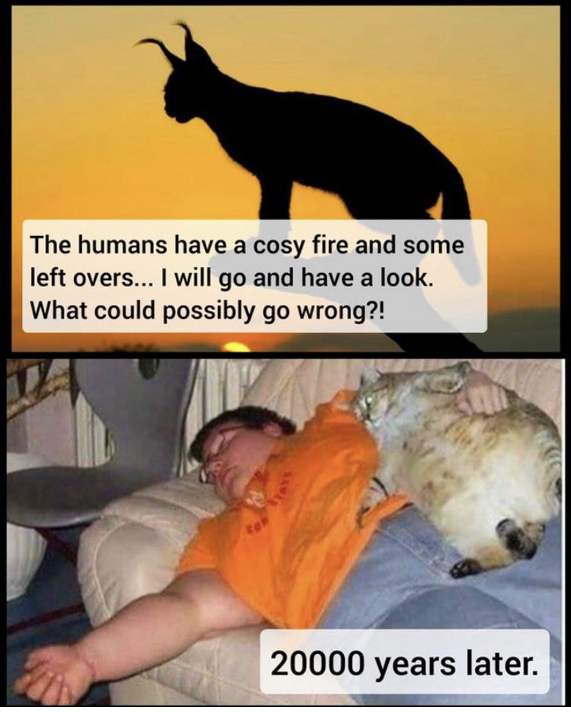 86559928.jpg