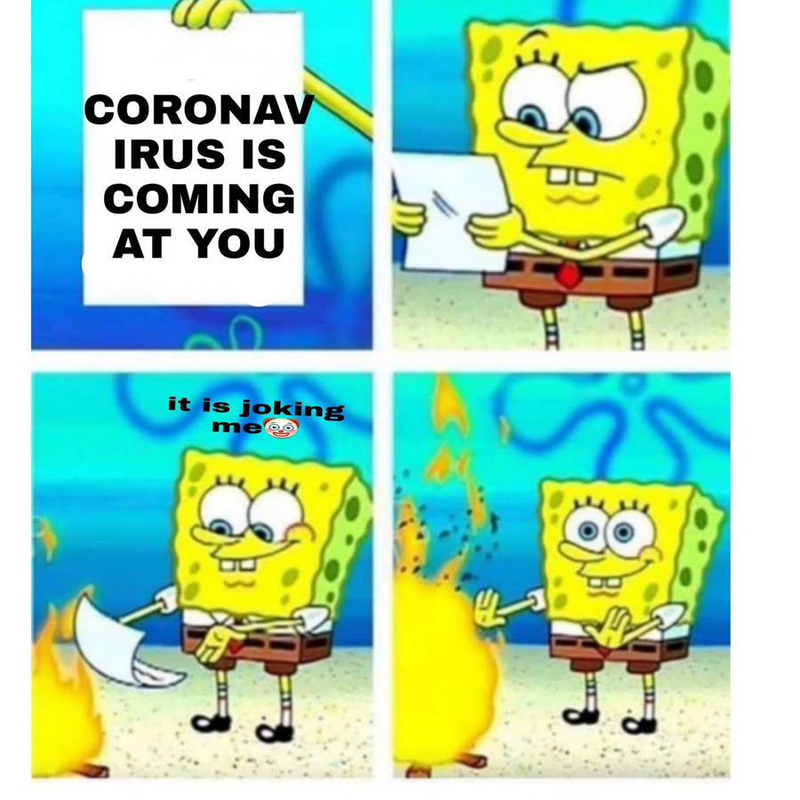 mt2xt.jpg