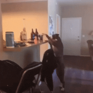 1528573081878.gif