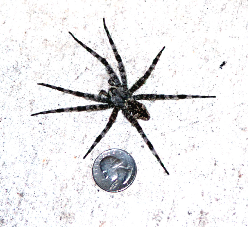 3877736.sp3.jpg