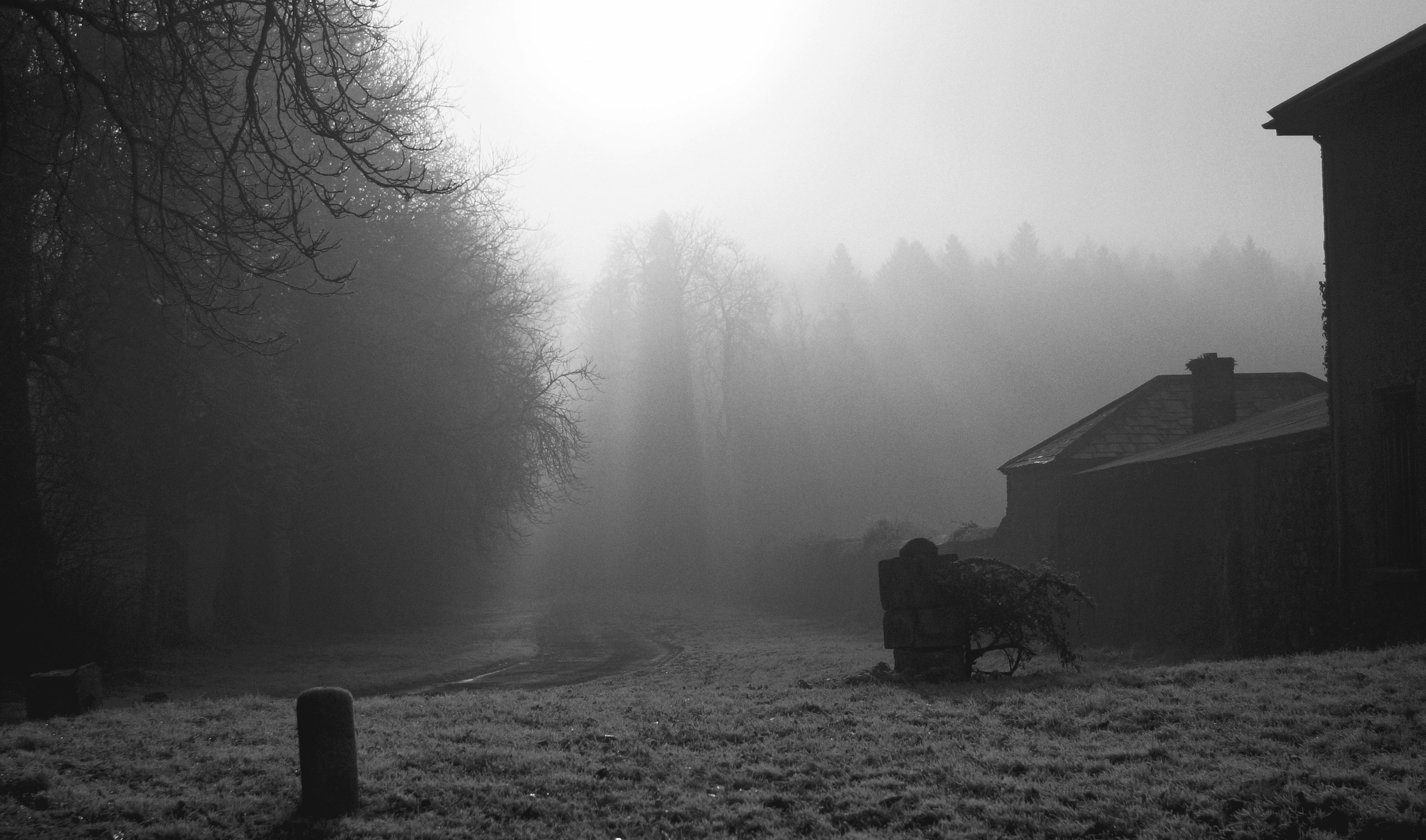 164610905.bGLzE7y9.acros1.JPG