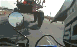 85793728.gif