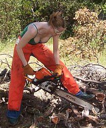 bb43c050110eae28214fec8836fc7887--chainsaw-equipment.jpg