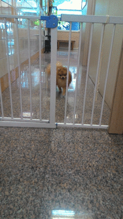 tumblr_o02gzvVM0D1r6q4zxo1_400.gif
