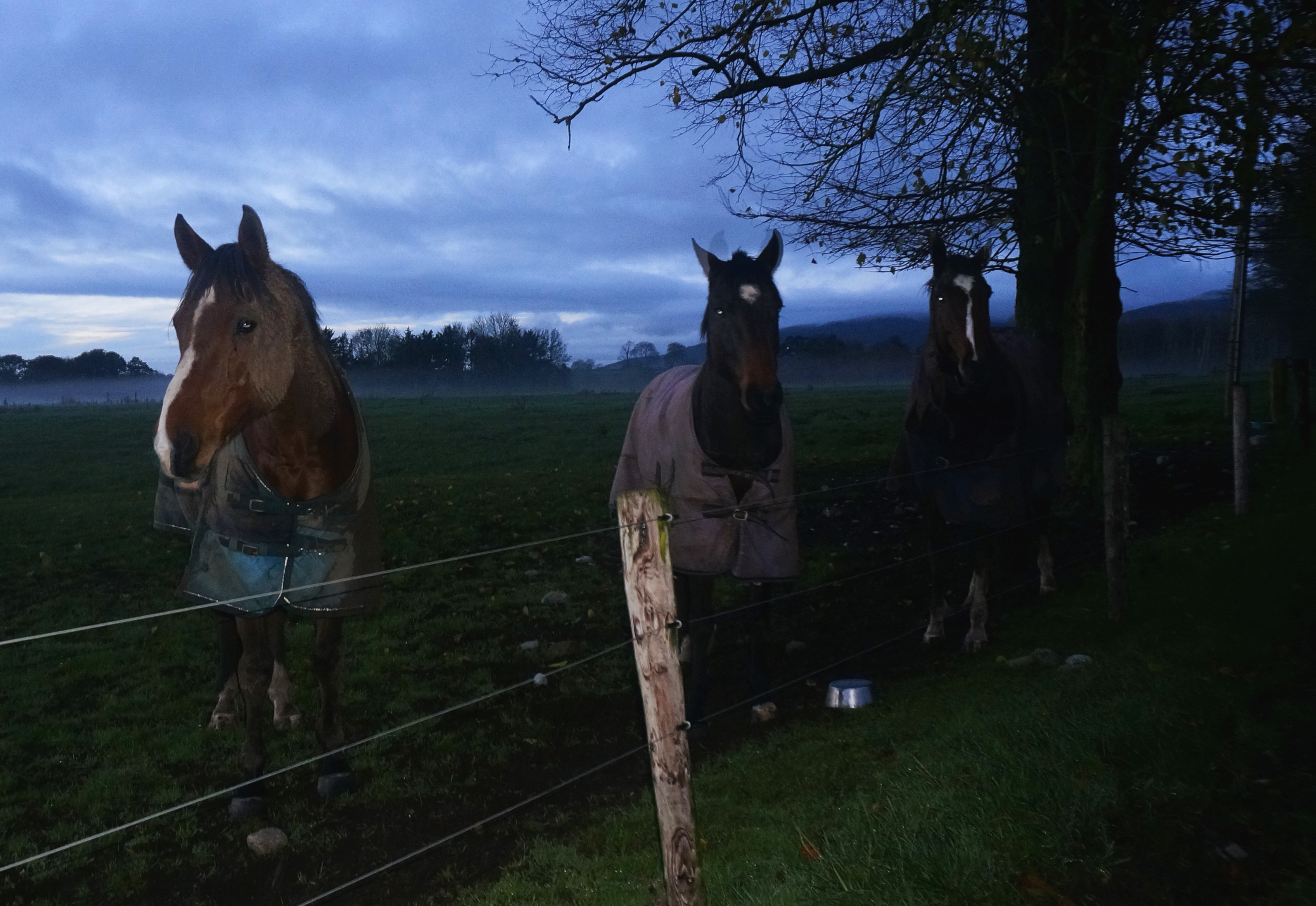 158205204.uiuzjWX6.farm6.jpg