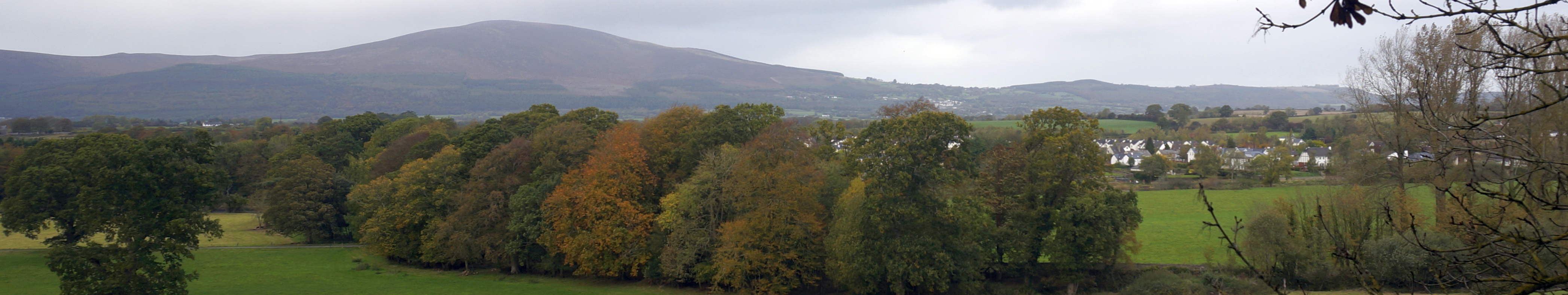 158575270.g2ywEUfT.village.jpg