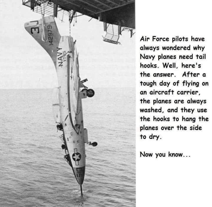 86041245.jpg