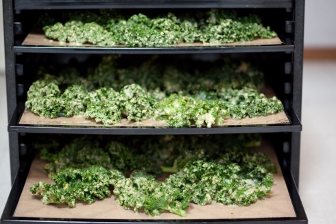 kale-chips-in-dehydrator-on-sheets.jpg