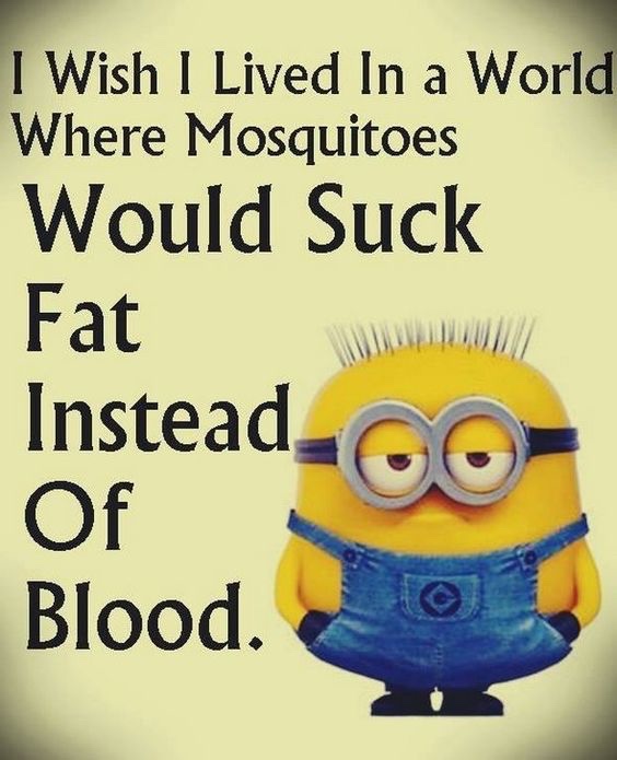 95681fb5dfb531c2656cde7e18658478.jpg