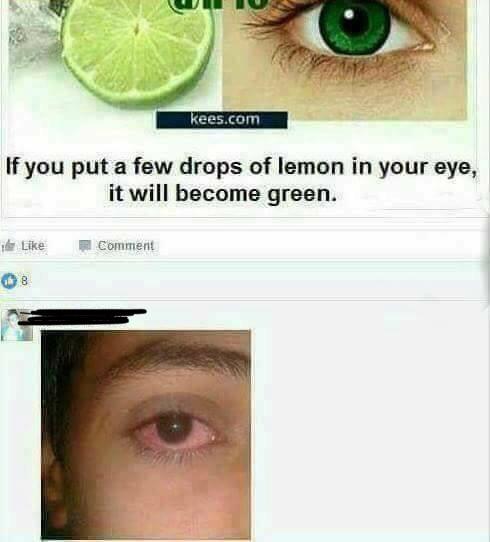 85785031.jpg