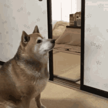 tenor.gif