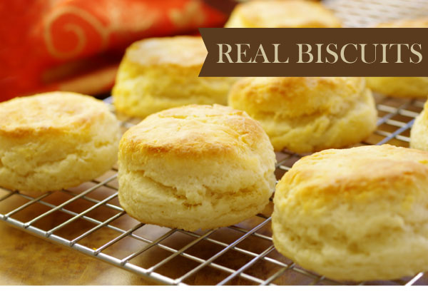 Biscuits_v1_01.jpg