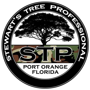 treeservicevolusiaportorangedaytona.jpg